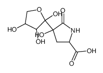 4-hydroxy-5-oxo-4-(2,3,4-trihydroxy-tetrahydro-furan-2-yl)-pyrrolidine-2-carboxylic acid结构式