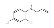 Benzenamine,2,4-dichloro-N-2-propen-1-yl- structure
