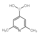 (2,6-dimethylpyridin-4-yl)boronic acid picture