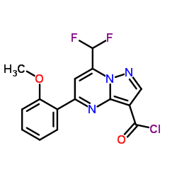 7-DIFLUOROMETHYL-5-(2-METHOXY-PHENYL)-PYRAZOLO[1,5-A]PYRIMIDINE-3-CARBONYL CHLORIDE picture