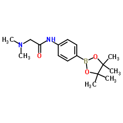 2-(dimethylamino)-N-(4-(4,4,5,5-tetramethyl-1,3,2-dioxaborolan-2-yl)phenyl)acetamide Structure