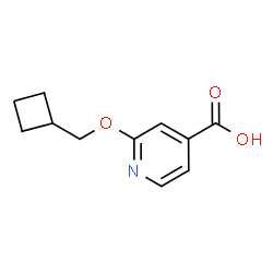 2-(Cyclobutylmethoxy)pyridine-4-carboxylic acid结构式
