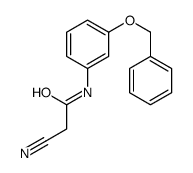 2-cyano-N-(3-phenylmethoxyphenyl)acetamide结构式