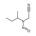 N-butan-2-yl-N-(cyanomethyl)nitrous amide结构式