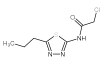 2-chloro-N-(5-propyl-1,3,4-thiadiazol-2-yl)acetamide picture