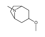 3-methoxy-8-methyl-8-azabicyclo[3.2.1]octane结构式