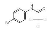 Acetamide,N-(4-bromophenyl)-2,2,2-trichloro-结构式