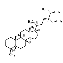 (4α,5α)-4-Methylstigmastane Structure
