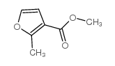 methyl 2-methyl-3-furoate picture