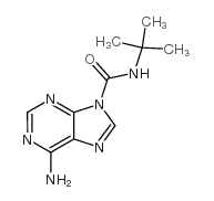 6-AMINO-N-TERT-BUTYL-9H-PURINE-9-CARBOXAMIDE picture