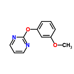Pyrimidine, 2-(3-methoxyphenoxy)- (9CI)结构式