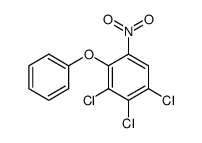 2-nitro-4,5,6,-trichloro-diphenylether Structure