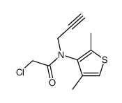 2-chloro-N-(2,4-dimethylthiophen-3-yl)-N-prop-2-ynylacetamide Structure