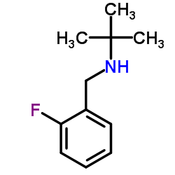 tert-butyl[(2-fluorophenyl)methyl]amine structure