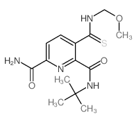 2,6-Pyridinedicarboxamide,N2-(1,1-dimethylethyl)-3-[[(methoxymethyl)amino]thioxomethyl]- Structure