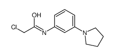 2-chloro-N-(3-pyrrolidin-1-ylphenyl)acetamide Structure