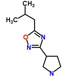 5-Isobutyl-3-(3-pyrrolidinyl)-1,2,4-oxadiazole结构式