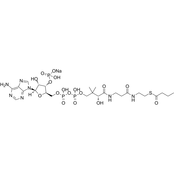 Butyryl-Coenzyme A (sodium salt)图片