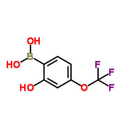 2-Hydroxy-4-(trifluoromethoxy)phenylboronic acid picture