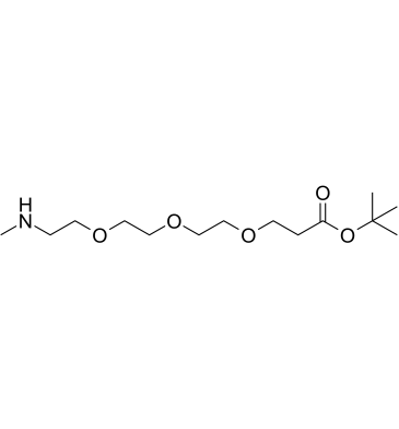 Methylamino-PEG3-t-butyl ester结构式