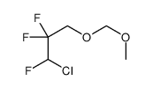1-chloro-1,2,2-trifluoro-3-(methoxymethoxy)propane picture