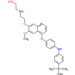 2-({2-[(4-{4-[(4-tert-butylphenyl)amino]phenoxy}-6-methoxyquinolin-7-yl)oxy]ethyl}amino)ethanol结构式