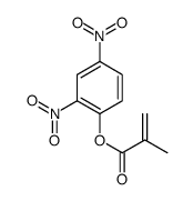 2,4-Dinitrophenylmethacrylate Structure