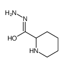 2-Piperidinecarboxylicacid,hydrazide(9CI)结构式