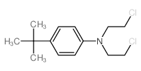Benzenamine,N,N-bis(2-chloroethyl)-4-(1,1-dimethylethyl)- Structure