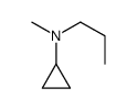 N-methyl-N-propylcyclopropylamine Structure