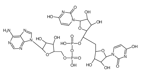uridylyl-(3'-5')-adenylyl-(3'-5')uridine Structure