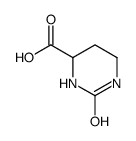 2-oxo-1,3-diazinane-4-carboxylic acid Structure
