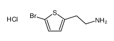 2-THIOPHENEETHANAMINE, 5-BROMO-, HYDROCHLORIDE structure