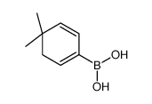 (4,4-dimethylcyclohexa-1,5-dien-1-yl)boronic acid Structure