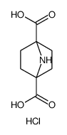 7-Azabicyclo[2.2.1]heptane-1,4-dicarboxylic acid, hydrochloride结构式