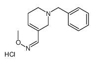 (E)-1-(1-benzyl-3,6-dihydro-2H-pyridin-5-yl)-N-methoxymethanimine,hydrochloride Structure