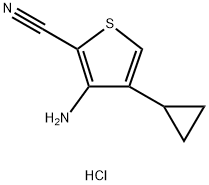 3-amino-4-cyclopropylthiophene-2-carbonitrile hcl picture