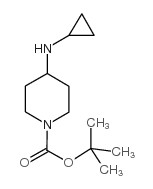 1-TERT-BUTOXYCARBONYL-4-(CYCLOPROPYLAMINO)PIPERIDINE structure