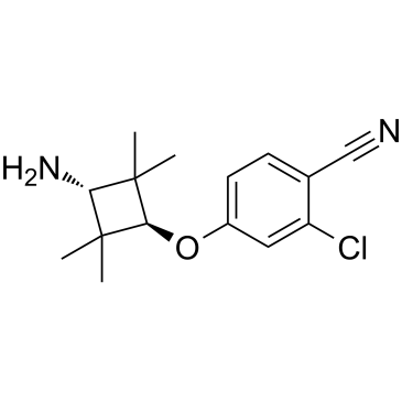 2-chloro-4-[trans-3-amino-2,2,4,4-tetramethylcyclobutoxy]benzonitrile picture