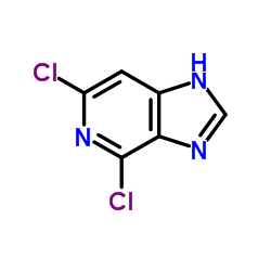 4,6-Dichloro-1H-imidazo[4,5-c]pyridine structure