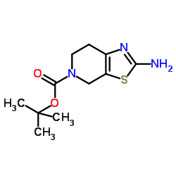 2-氨基-6,7-二氢噻唑并[5,4-c]吡啶-5(4H)-甲酸叔丁酯结构式