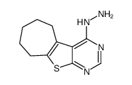 4-肼基-6,7,8,9-四氢-5H-环戊基[4,5]噻吩并[2,3-d]嘧啶结构式