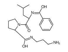 (2S)-N-(3-aminopropyl)-1-[(2S)-2-benzamido-4-methylpentanoyl]pyrrolidine-2-carboxamide结构式