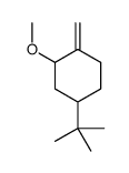 4-tert-butyl-2-methoxy-1-methylidenecyclohexane结构式