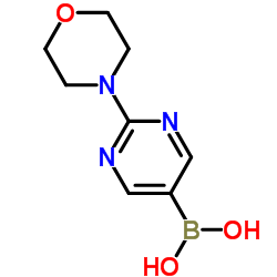 2-Morpholinopyrimidin-5-ylboronic acid Structure