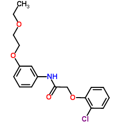 2-(2-Chlorophenoxy)-N-[3-(2-ethoxyethoxy)phenyl]acetamide Structure