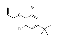 1,3-dibromo-5-tert-butyl-2-prop-2-enoxybenzene Structure