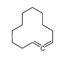 cyclododeca-1,2-diene Structure