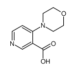 4-morpholin-4-ylpyridine-3-carboxylic acid Structure