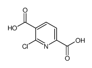 6-chloropyridine-2,5-dicarboxylic acid Structure